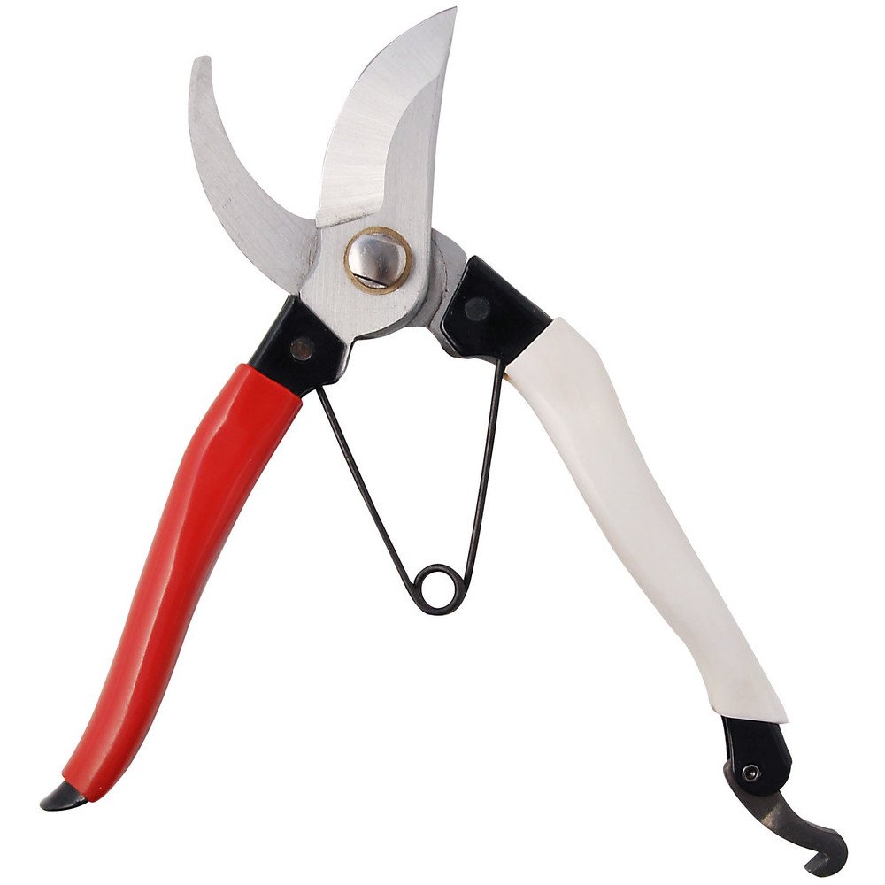 Amazon | CLUB.J 全鋼 剪定鋏 金止 200mm 左利き用 | 園芸用はさみ